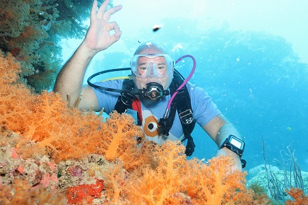 Fiji Gay Scuba